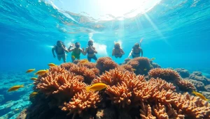 Experience the best snorkeling in Cabo while exploring vibrant coral reefs and colorful marine life.